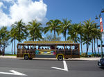 20100314hawai10.jpg