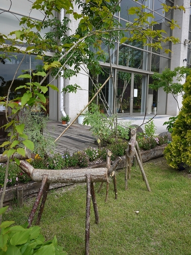 P1070355.jpg