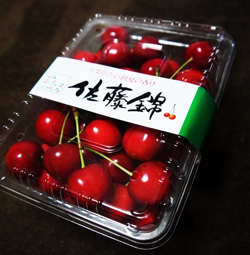 P1070588 (1).jpg