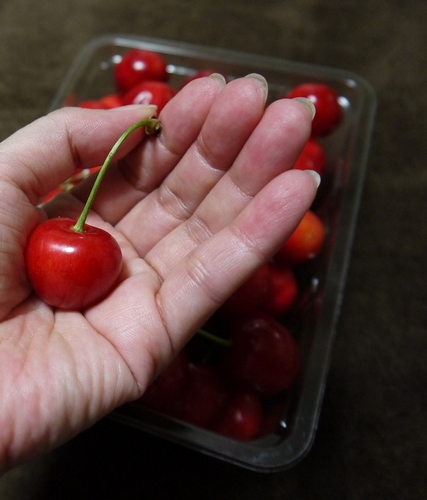 P1070590 (1).jpg