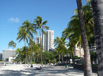 waikiki4.jpg