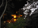 20080331ueno4.jpg