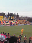 20081108reisol3.jpg