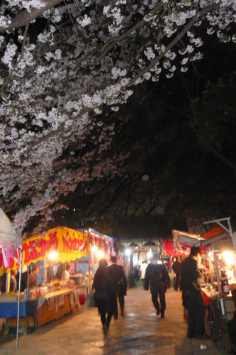 2011sakuraueno05.jpg