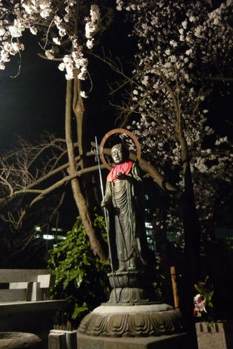 2011sakuraueno06.jpg