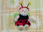 momokatentou1.jpg