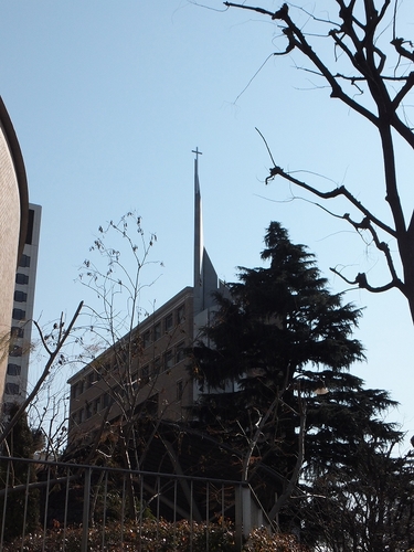 DSCF4203.jpg