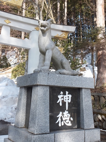 DSCF4230.jpg