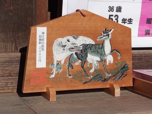 DSCF4248.jpg