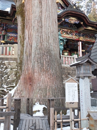 DSCF4253.jpg