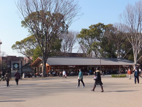 DSCF4936.jpg