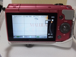DSCF6560.jpg