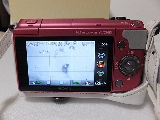 DSCF6564.jpg