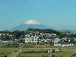 FUJISAN1.jpg