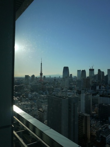 P1030256.jpg