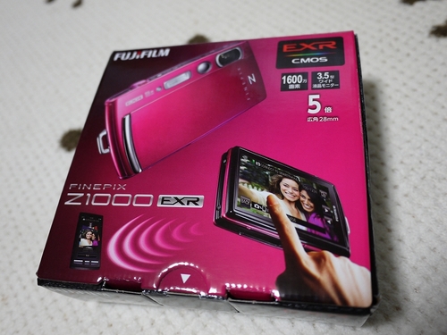 P1050849.jpg