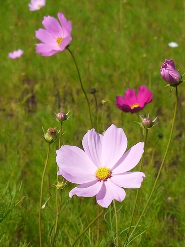 P1070200.jpg