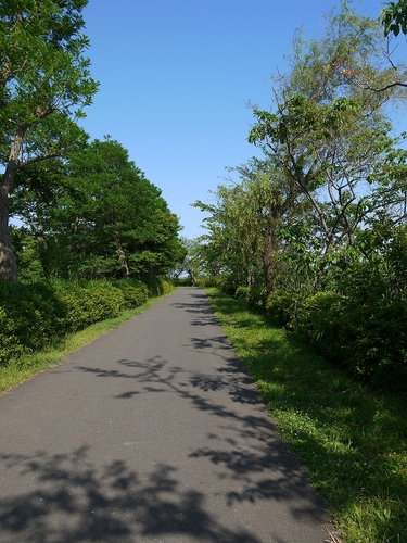 P1070209.jpg