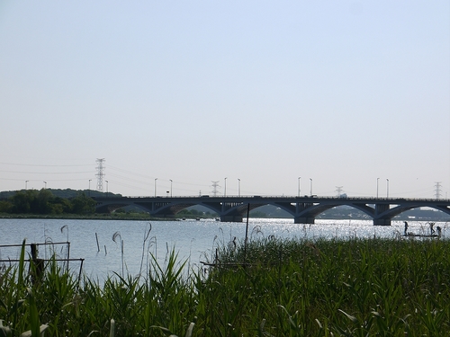 P1070213.jpg