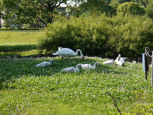 P1070216.jpg