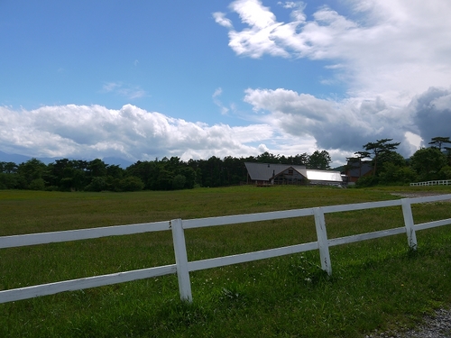 P1070299.jpg