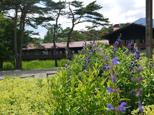 P1070305.jpg