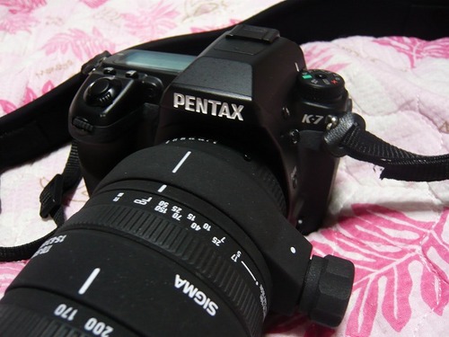 P1080460.jpg