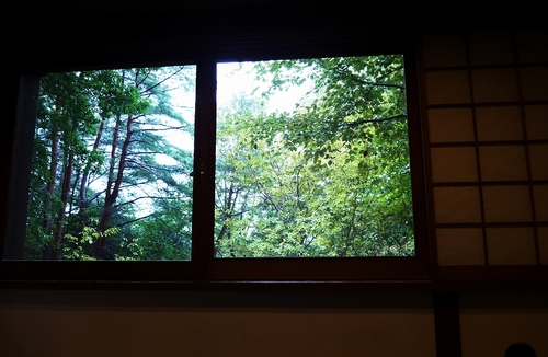 P1090516 (1).jpg