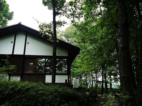 P1090534 (1).jpg