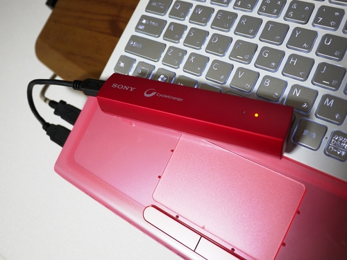 P1100029 (1).jpg