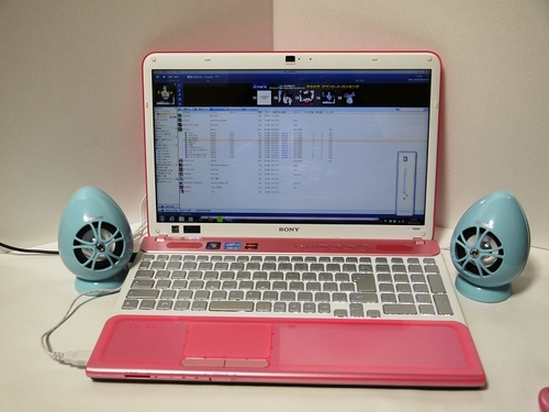 P1100238 (1).jpg