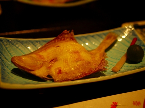 P1190464.jpg