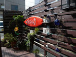 corail1.jpg
