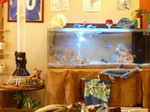 corail2.jpg