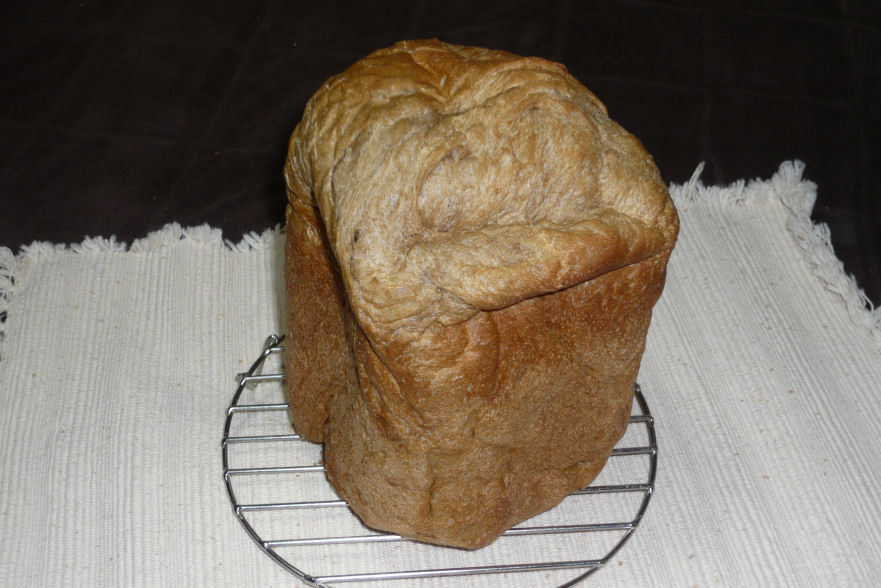 cuoka03.jpg