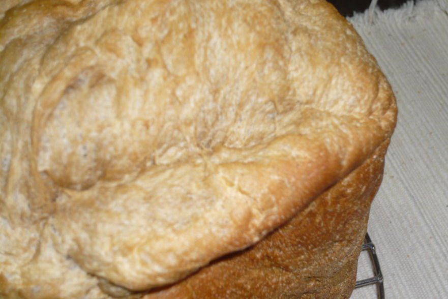 cuoka04.jpg