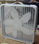 fan3.jpg