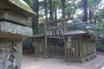 kashimajingu3.jpg