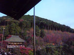 kiyomizu5.jpg