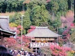kiyomizu6.jpg