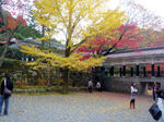 nanzenji7.jpg